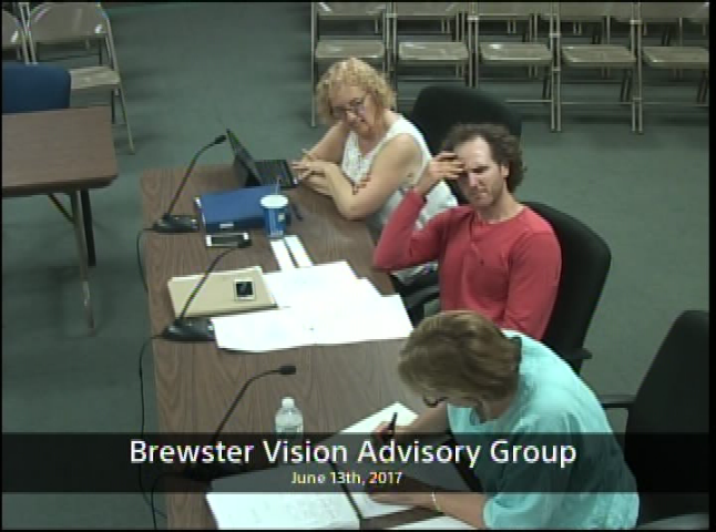 Thumbnail image for Brewster Vision Advisory Group