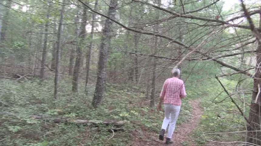 Thumbnail image for Dog Park Development Committee - Possible Site Visits