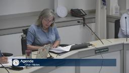 Thumbnail of the meeting video shows just the committee chair looking down at they papers.