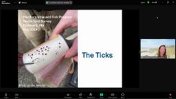 Thumbnail of tick presentation slide that says "the ticks"