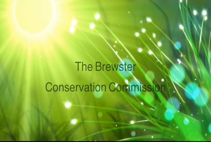 Thumbnail image for Conservation Commission 4-21-2020
