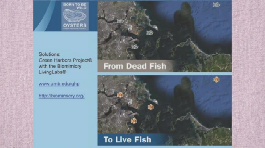 Thumbnail image for Biomimicry Presentation at Brewster Ladies' Library